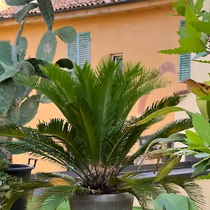 The Jasmine Terrace Retreat Italië